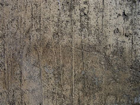 Texture Concrete Macro Free Photo Download Freeimages