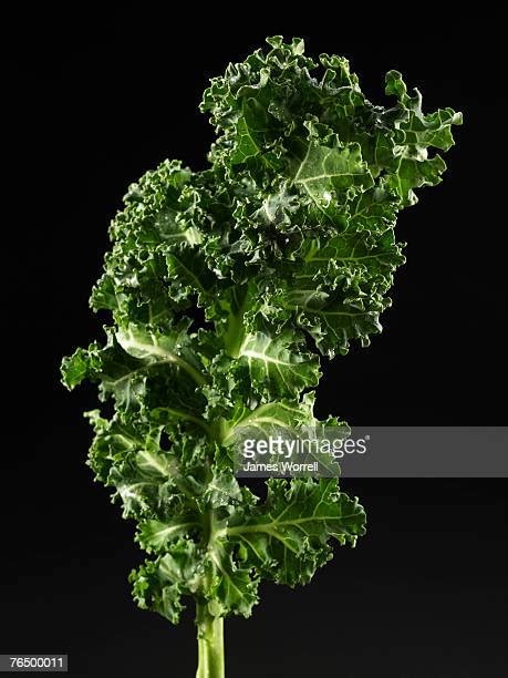 3,119 Kale Leaves Stock Photos, High-Res Pictures, and Images - Getty Images