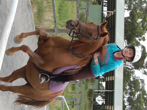 Horse Riding Lessons in Melbourne - Horse Riding Lessons Melbourne