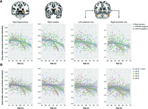 Significant Interactions Between Apoe Genotype And Age In Determining