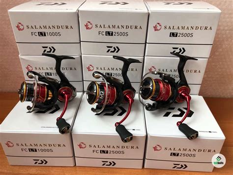 Daiwa Salamandura Fc Lt S Caldia