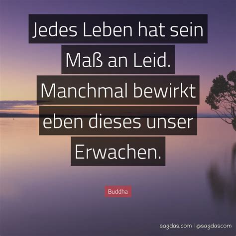 Buddha Zitat Jedes Leben hat sein Maß an Leid sagdas