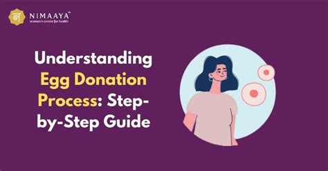 Understanding Egg Donation Process Step By Step Guide