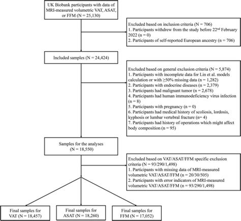 Sex Specific Equations To Estimate Body Composition Derivation And Validation Of Diagnostic