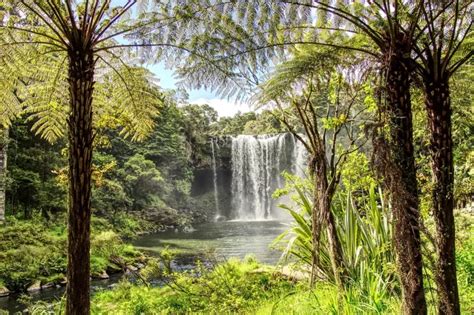 Descubre la belleza natural del Lago Taupo Un paraíso oculto en Nueva