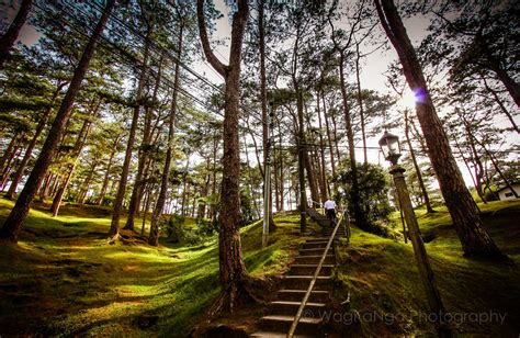 Top 5 Local Attractions In Baguio City Idcl Corporation