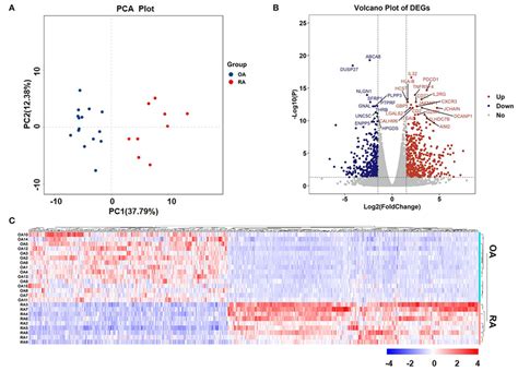 Principal Component Analysis Pca Plot Of Samples And Volcano Plot