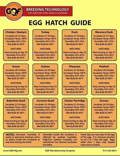 Egg Care Page; Sugar Feather Farm