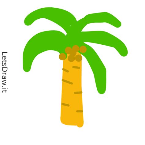 How To Draw Palm Tree Xminkr Tz Png Letsdrawit