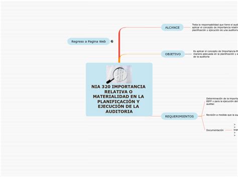 Nia 320 Importancia Relativa O Materialida Mind Map