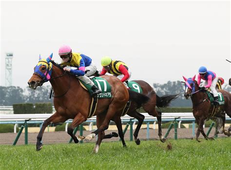 【京都牝馬s】サウンドキアラが京都金杯に続く重賞v 今年重賞4勝目の松山「今後が楽しみ」 Umatoku 馬トク