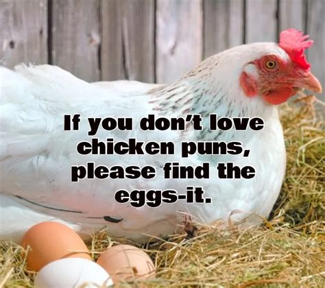 80+ Chicken Puns You Will Be EGGcited To Tell All Your Friends