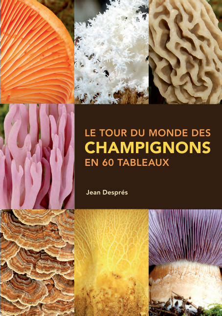 Pdf Lunivers Des Champignons Le Tour Du Monde Des Champignons