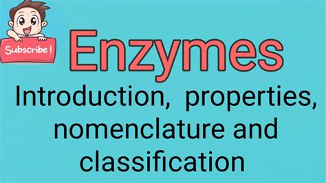 Enzymes YouTube