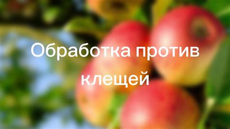Обработка против клещей - YouTube