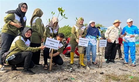 Hari Lingkungan Hidup Sedunia DLH Kota Cirebon Tanam 200 Mangrove