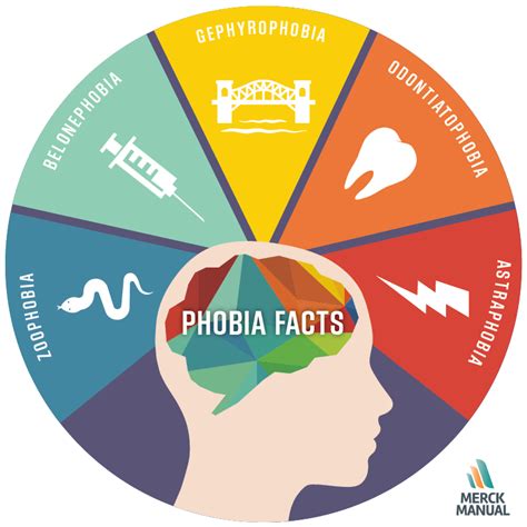 Get the facts on common phobias and learn when a phobia should be ...