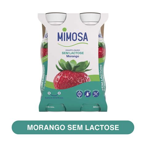 Mercadão Pingo Doce Madeira Iogurte Líquido sem Lactose de Morango