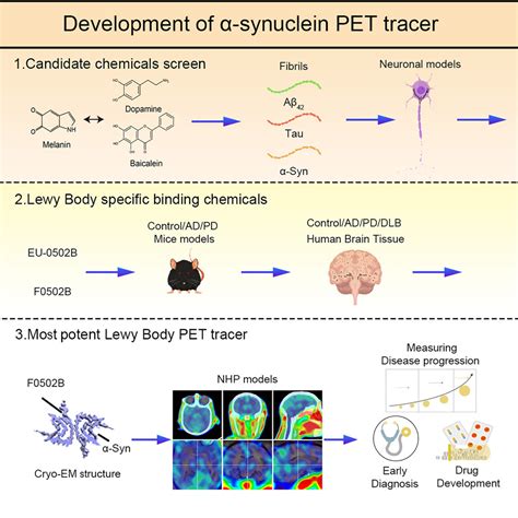 Development Of An α Synuclein Positron Emission Tomography Tracer For