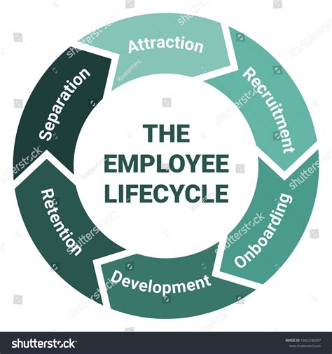 Employee Lifecycle: Over 50 Royalty-Free Licensable Stock Vectors ... 