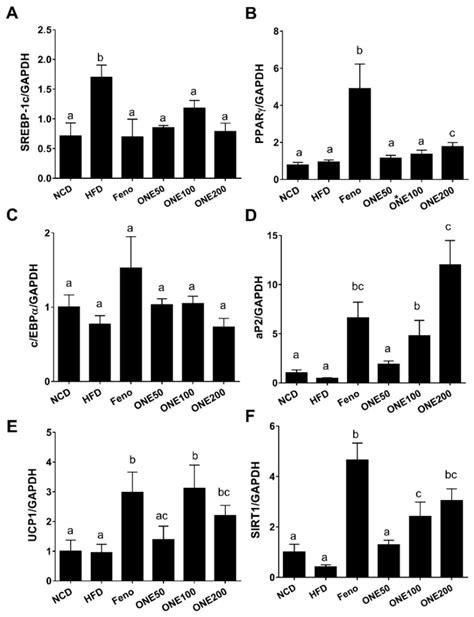 One Suppresses Expression Of Lipogenic And Adipogenic Genes But