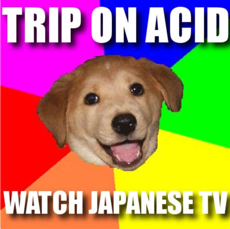 [Image - 2012] | Advice Dog | Know Your Meme