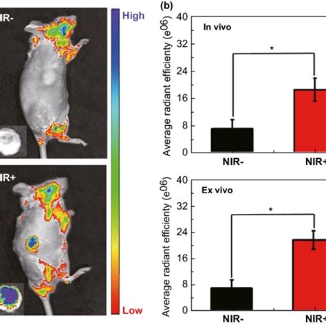 A Relative Tumor Volume Changes In 14 Days B Photographs Of The