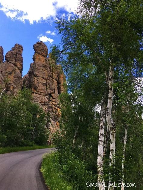 Two Amazing Drives to Take at Custer State Park, South Dakota ...