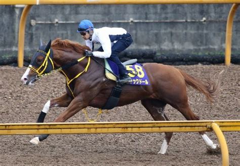 【注目重賞／追い切りで買う・安田記念】 日刊ゲンダイ競馬