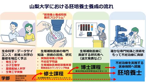 山梨大学における胚培養士養成について 国立大学法人 山梨大学 大学院 総合研究部 高度生殖補助技術センター