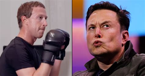 Elon Musk Mark Zuckerberg Are Having A Cage Fight