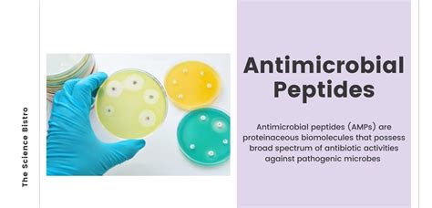 Antimicrobial Peptides (AMPs) - The Science Bistro