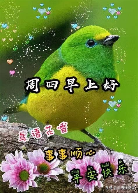 1月6日周四早安祝福語動態圖片 冬天暖心的星期四早上好問候句子 每日頭條