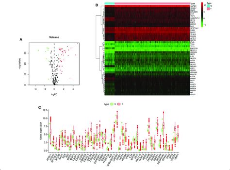 The Expression Of Autophagy Related Genes In Ccrcc And Normal Kidney