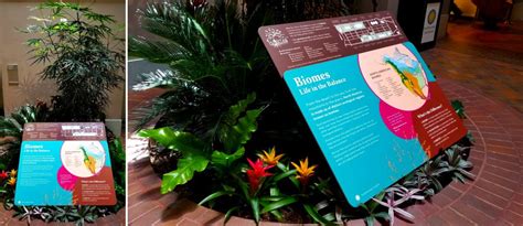 Biomes Life In The Balance Smithsonian Exhibits