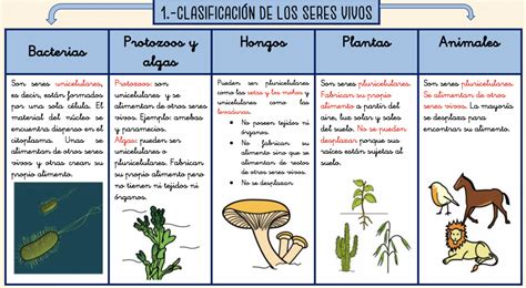 Tema Los Seres Vivos Primaria