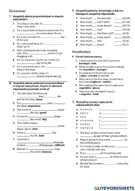 Junior Explorer 5 Unit 4 Consolidation Worksheet Adjectives Workbook