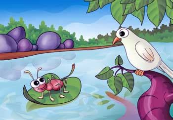 Kids Moral Stories - Ant and Dove short Story Hare and Tortoise Story