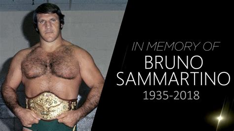 The Living Legend Bruno Sammartino Rip In Memory Of Bruno