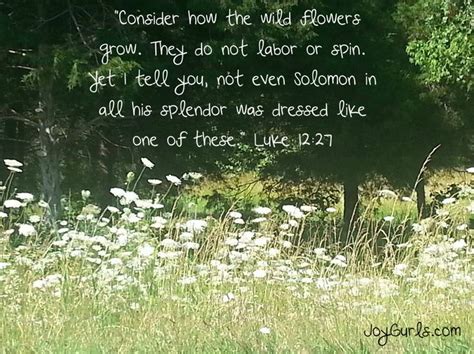 Consider How The Wildflowers Grow Luke 12 27 Joy JoyGurls Luke