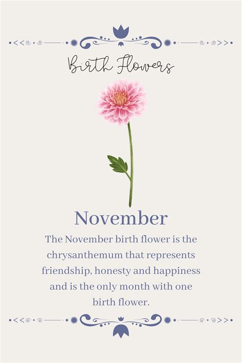 birth flowers, november. | Birth flowers, Birth flower tattoos, November birth flower