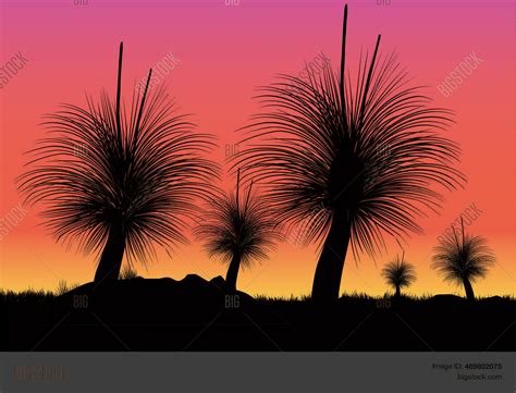 Silhouette Grass Tree Vector And Photo Free Trial Bigstock