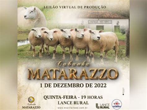 Leil O Virtual De Produ O Cabanha Matarazzo Youtube