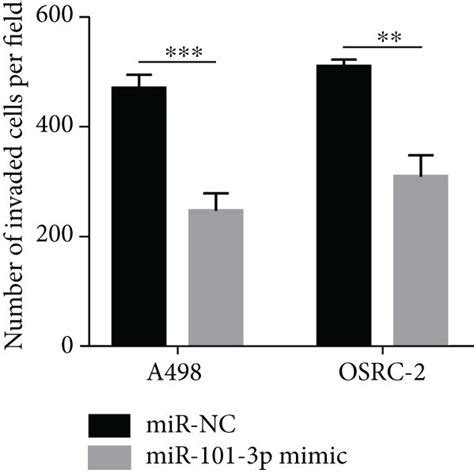 Overexpressing Mir 101 3p Attenuated Proliferation Migration And