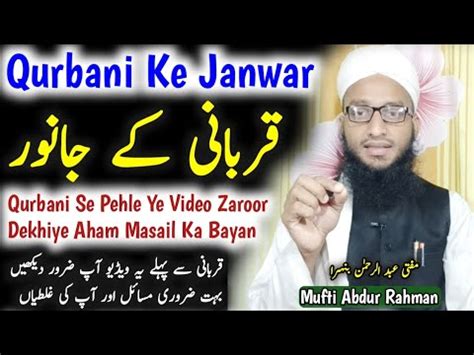 Qurbani Ke Janwar 2023 Important Masail Qurbani Se Pehle Ye Bayan