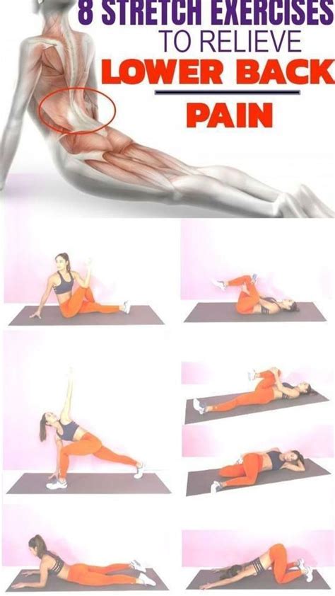 Streches and Exercises to Relieve Lower Back Pain | Yoga for back pain ...