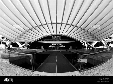 shell   steel stock photo alamy