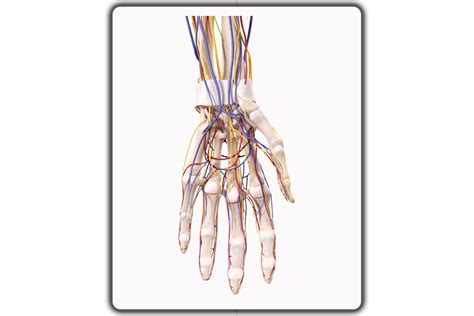Wrist Pain Prevention