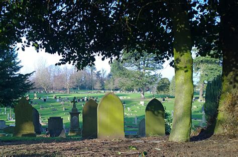 Macclesfield Crematorium: Ian Curtis (1956-1980)