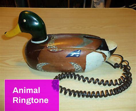 Animal Ringtones Free MP3 Download | Mingo Sounds